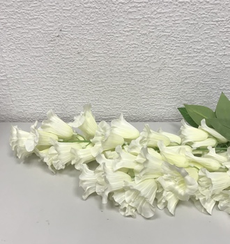 +Колокольчик