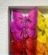 8см Бабочка на прищепке (12 шт)