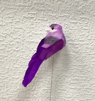 +Птица с перь. хвост.  (12)