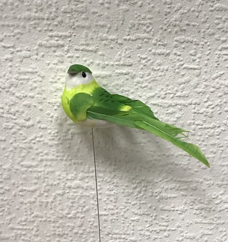 +Птица с перь. хвост.  (12)