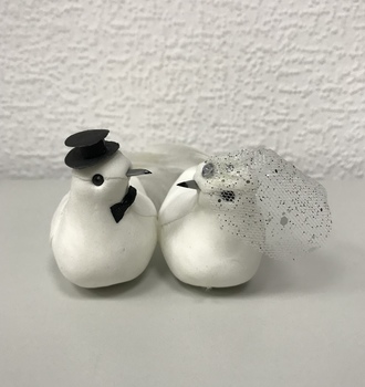 Голуби большие пара (6 пар)