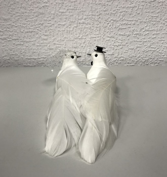 Голуби большие пара (6 пар)