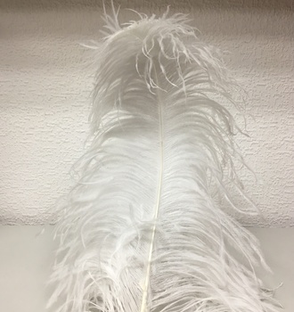 +Перо страуса большое