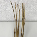 +Бамбук тонкий (10шт)
