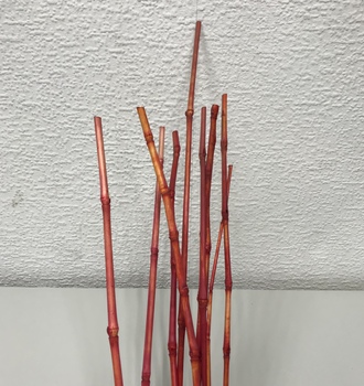 +Бамбук тонкий (10шт)