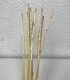 +Бамбук тонкий (10шт)