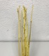 +Бамбук тонкий (10шт)