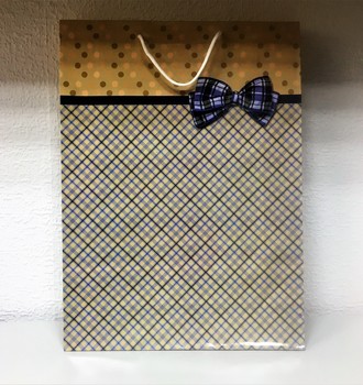 +Сумочка бум. 22 (32*44)