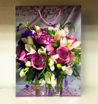 +Сумочка бум. 22 (32*44)