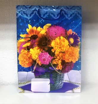 +Сумочка бум. 22 (32*44)