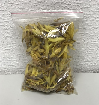 +Колокольчик