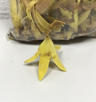 +Колокольчик