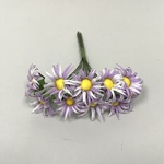 +Маргаритка острая 10 шт (12 шт/уп)