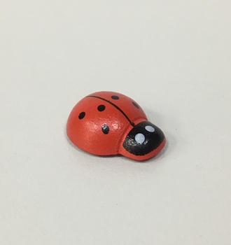 +Божья коровка на липучке 1,8см (25 шт )   (100шт)