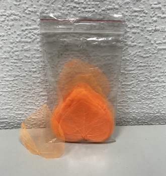 Листья скелет. (50 шт)