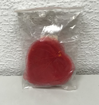 Листья скелет. (50 шт)