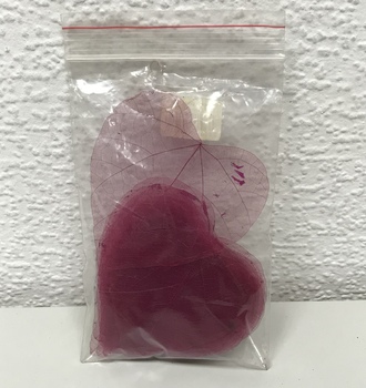 Листья скелет. (50 шт)