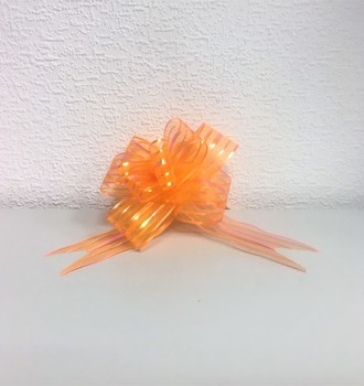 Бант затяжка цв. шифон 5,0см