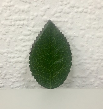 СЛ Декор для творчества "Листочек"