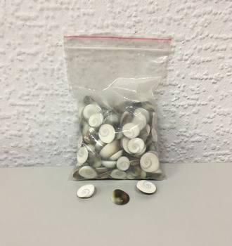 +Ракушки Плоская  100гр