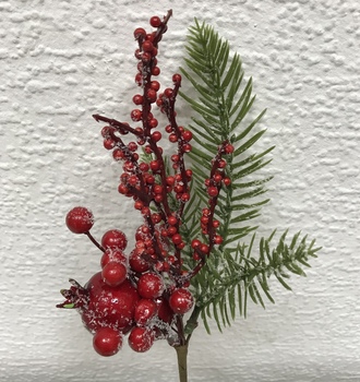 + Встава ветка занеженная