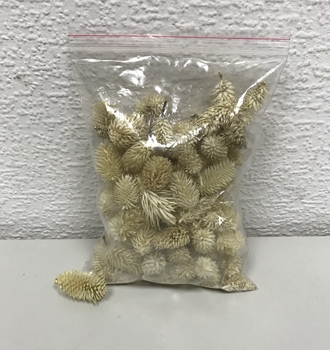 +Колючка "заячий хвостик", 40 гр