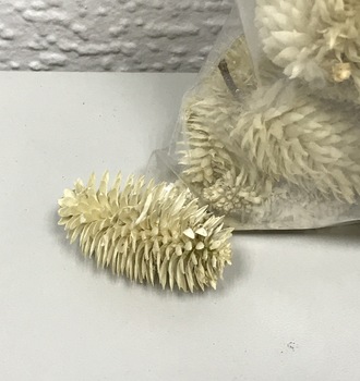 +Колючка "заячий хвостик", 40 гр