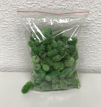 +Колючка "заячий хвостик", 40 гр