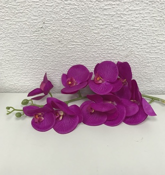 + Орхидея
