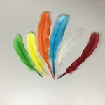 +Перо цветное 18см
