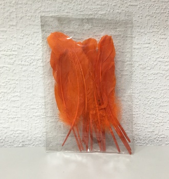 +Перо цветное 18см