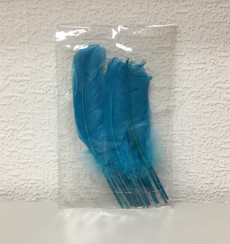 +Перо цветное 18см