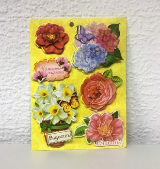 СЛ Наклейки декоративные 11*15см